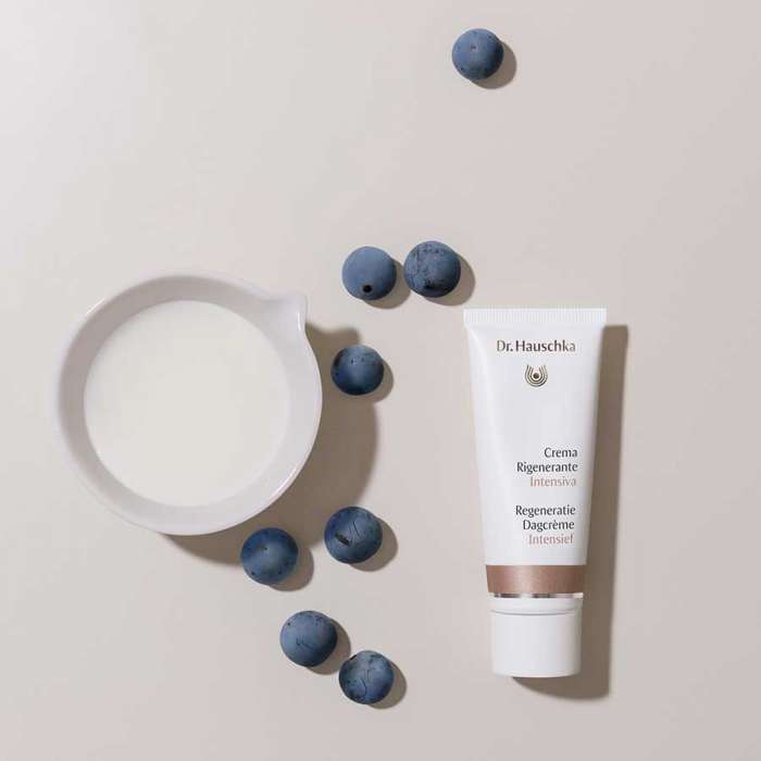 Dr. Hauschka Regeneratie Dagcrème Intensief Dr. Hauschka Dr. Hauschka Regeneratie Dagcrème Intensief Dr. Hauschka