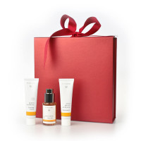 Natuurlijke Cosmetica Kerstcadeau is de beste start van jouw dag Dr. Hauschka Cadeauset Ochtendritueel