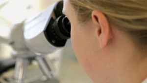 Dr. Hauschka Forschung, Entwicklung und Herstellung Dr. Hauschka Forschung, Entwicklung und Herstellung