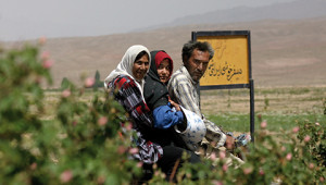 Dr. Hauschka Etherische rozenolie uit Iran Dr. Hauschka Etherische rozenolie uit Iran
